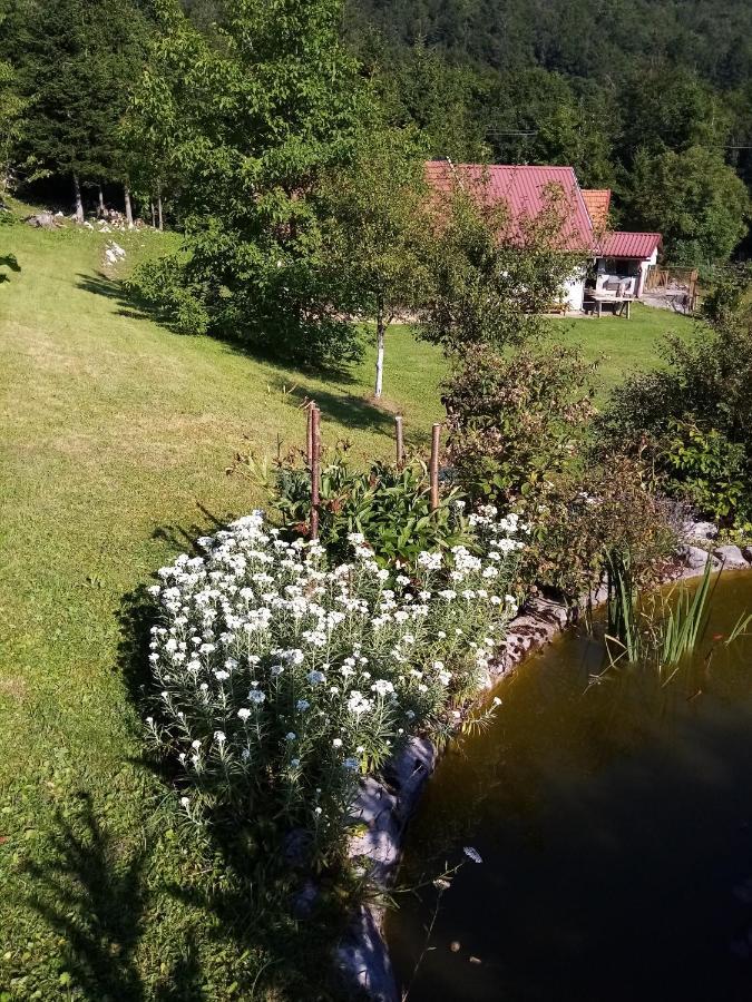 Apartmani Gruzdovo 代尔尼采 外观 照片