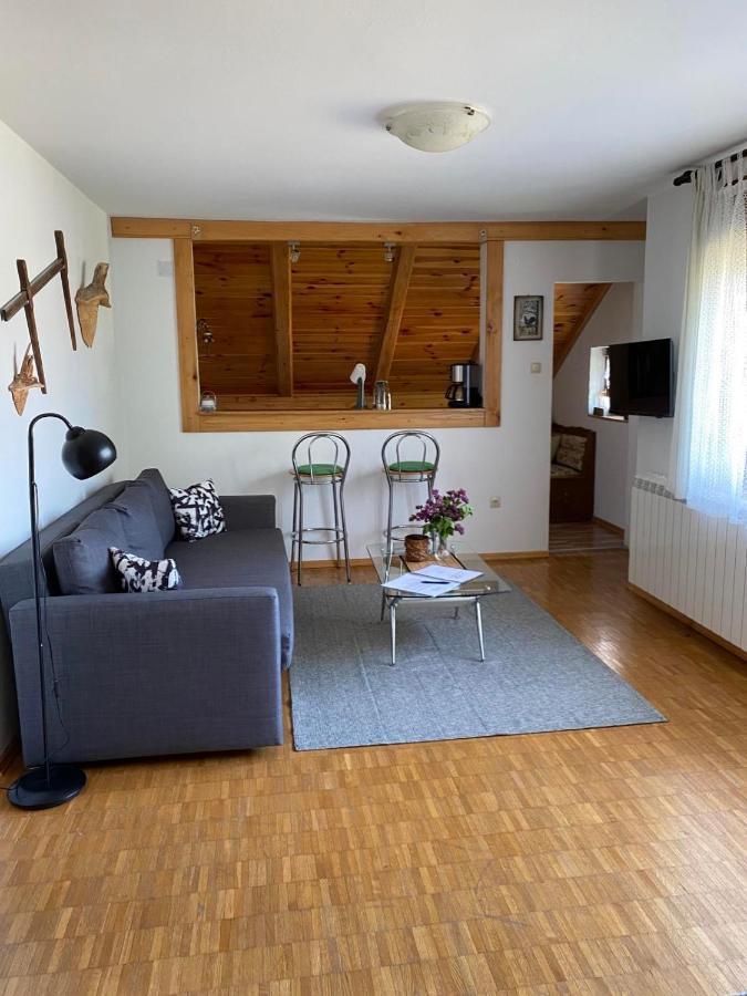 Apartmani Gruzdovo 代尔尼采 外观 照片
