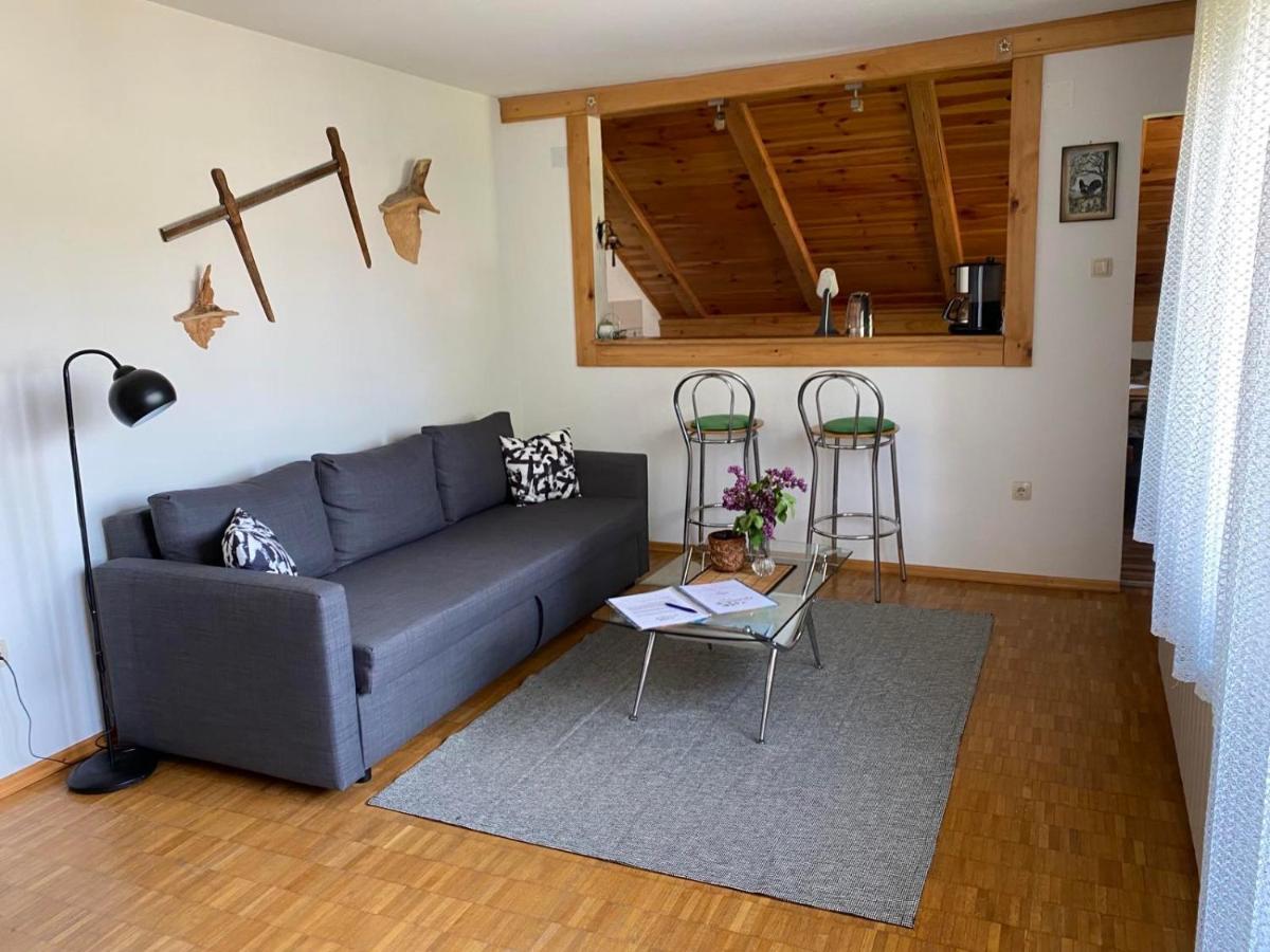 Apartmani Gruzdovo 代尔尼采 外观 照片