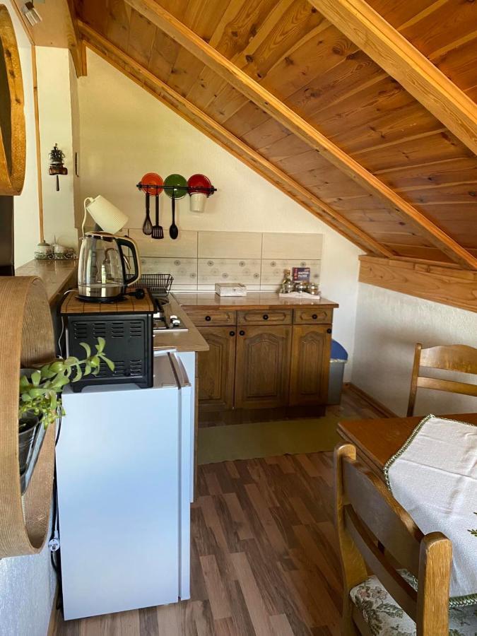 Apartmani Gruzdovo 代尔尼采 外观 照片