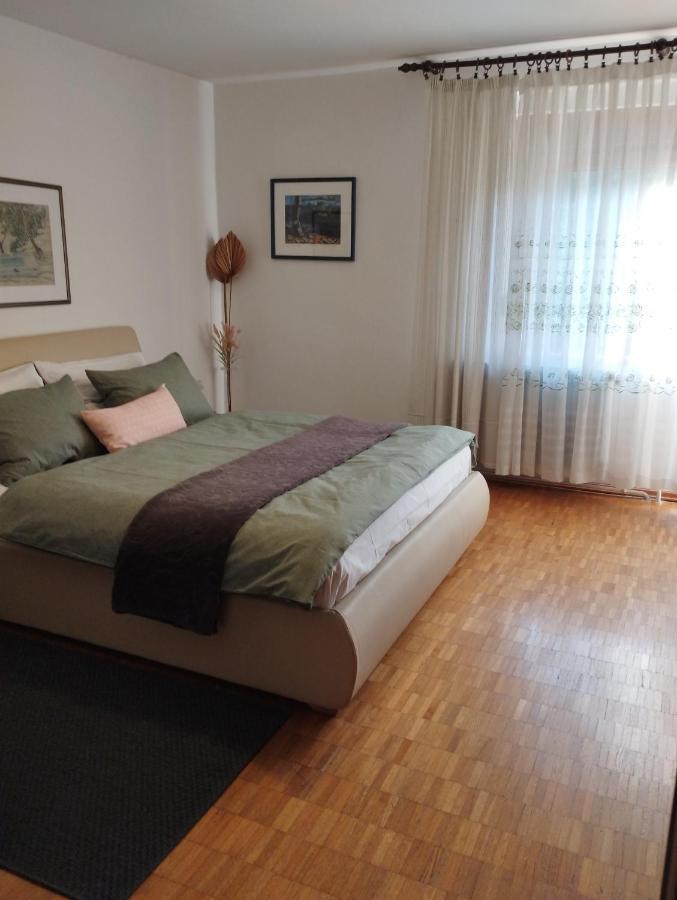 Apartmani Gruzdovo 代尔尼采 外观 照片