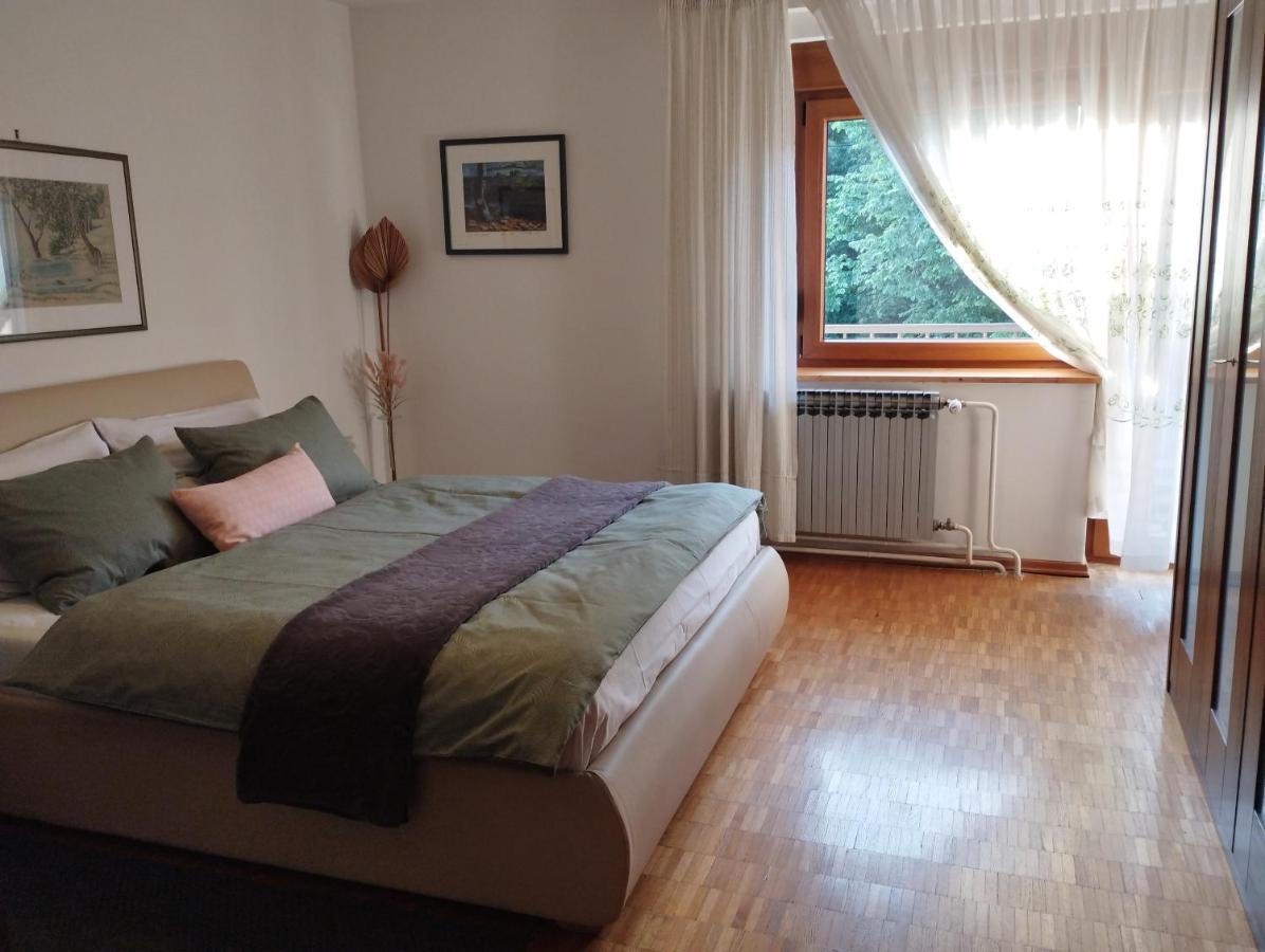 Apartmani Gruzdovo 代尔尼采 外观 照片