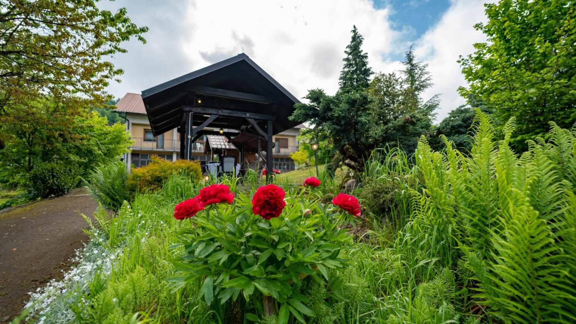 Apartmani Gruzdovo 代尔尼采 外观 照片