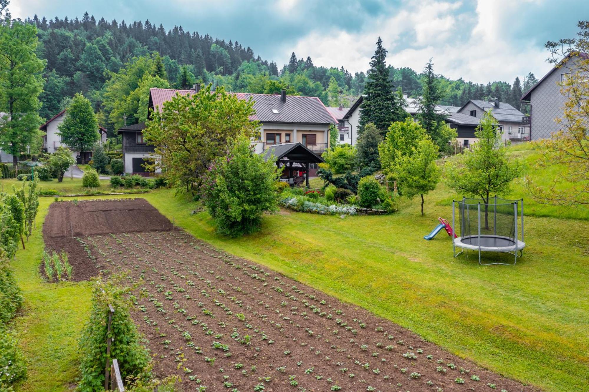 Apartmani Gruzdovo 代尔尼采 外观 照片